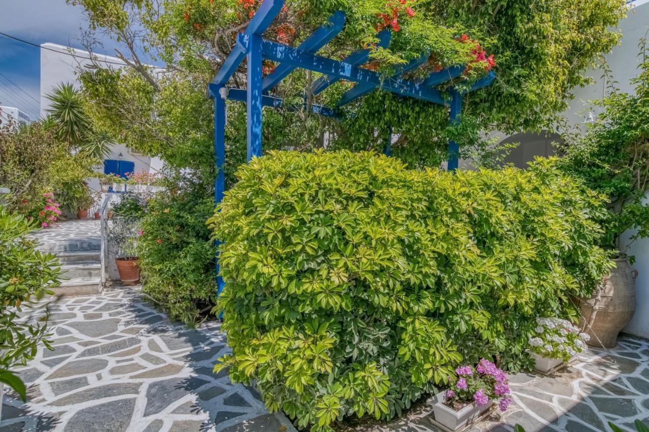 Alpha Studios Zambujeira do Mar Dış mekan fotoğraf